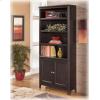 Large Door Bookcase